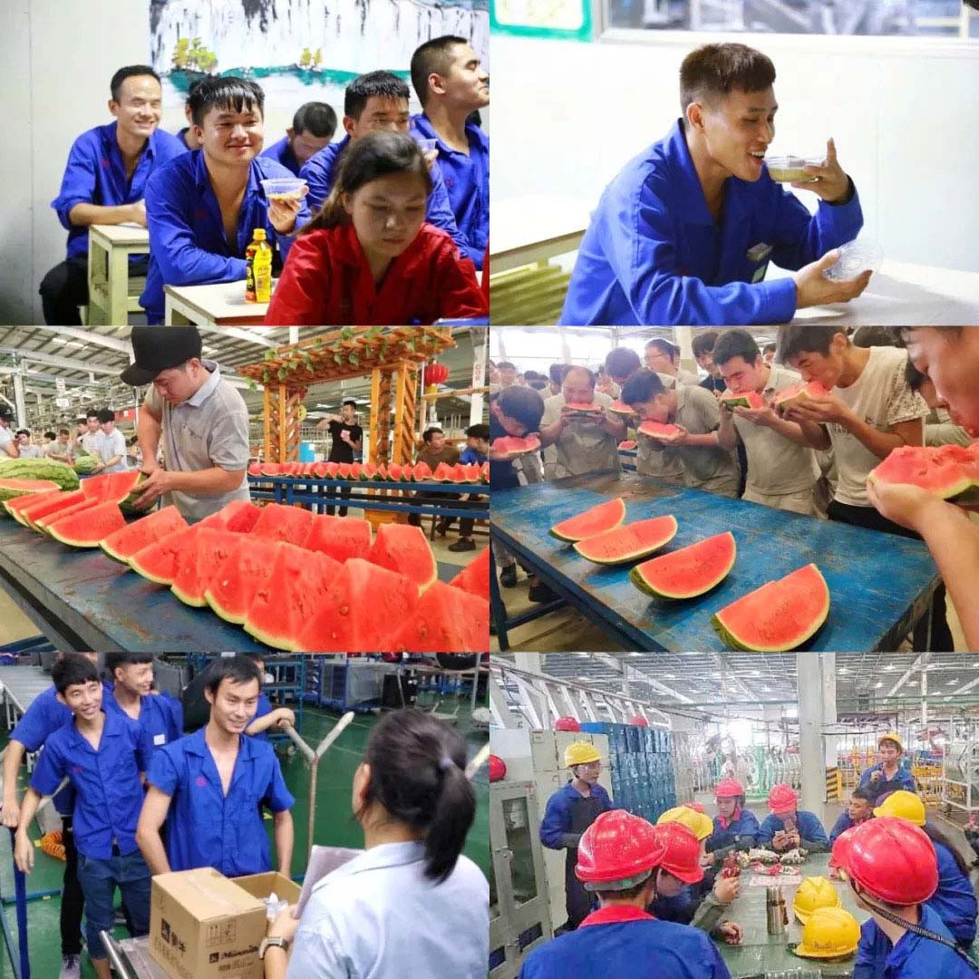 整平機工廠送清涼 整平機工廠送清涼